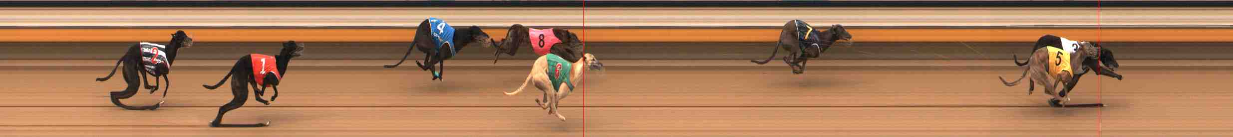 Photo finish for Warrnambool Race 6