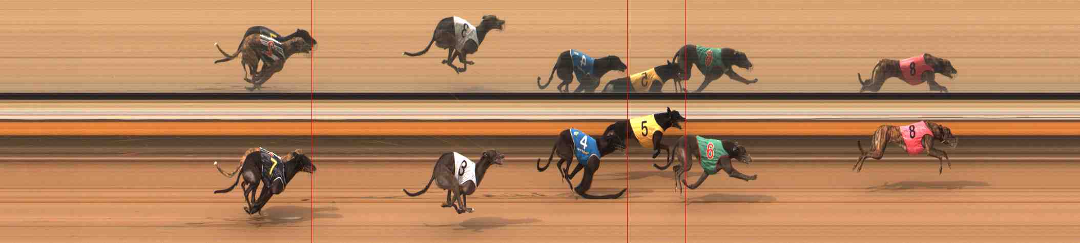 Photo finish for Warrnambool Race 7