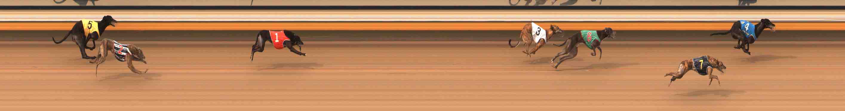 Photo finish for Warrnambool Race 8