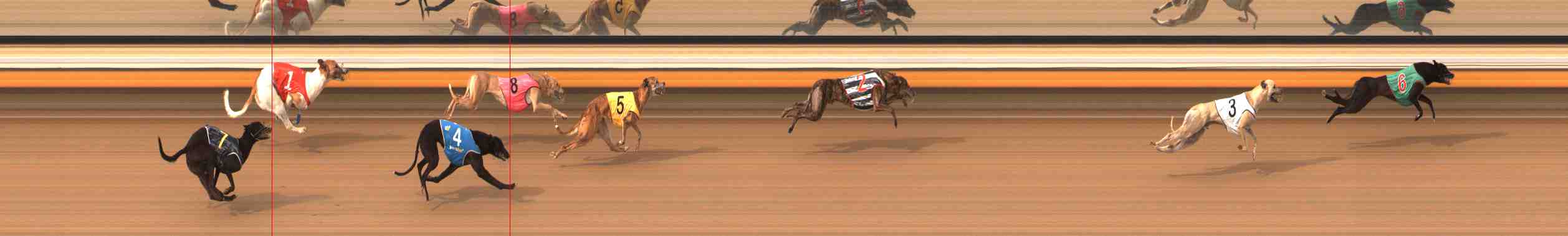 Photo finish for Warrnambool Race 9
