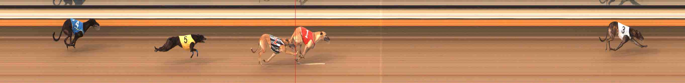 Photo finish for Warrnambool Race 10