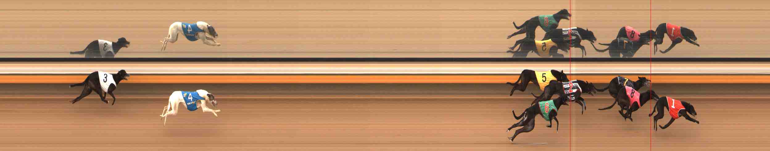 Photo finish for Warrnambool Race 11