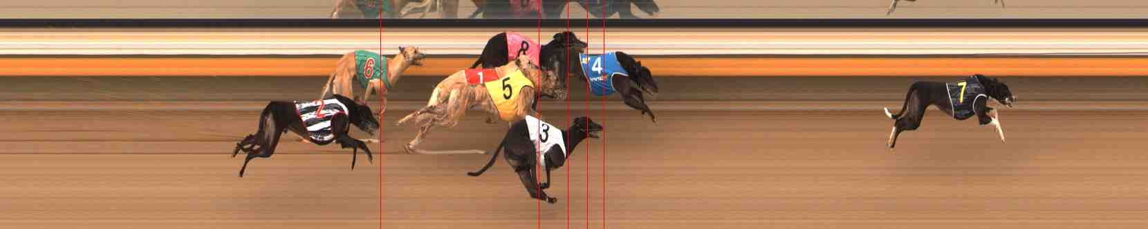 Photo finish for Warrnambool Race 12