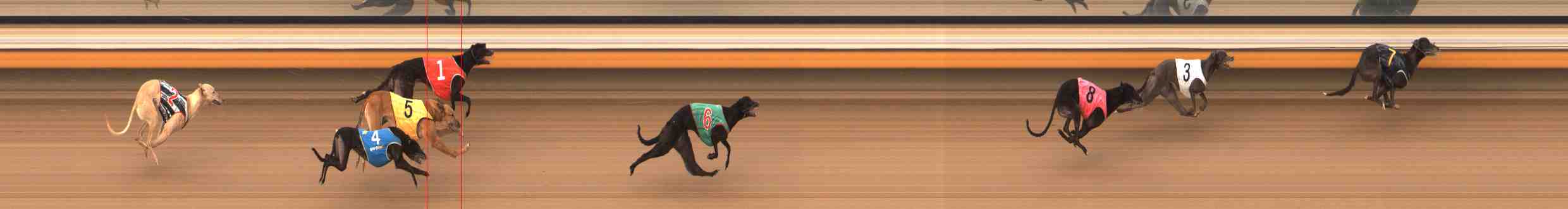 Photo finish for Warrnambool Race 13
