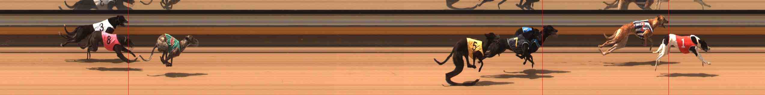 Photo finish for Warrnambool Race 1