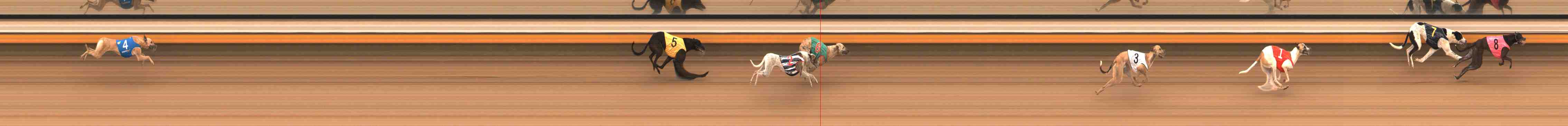 Photo finish for Warrnambool Race 1