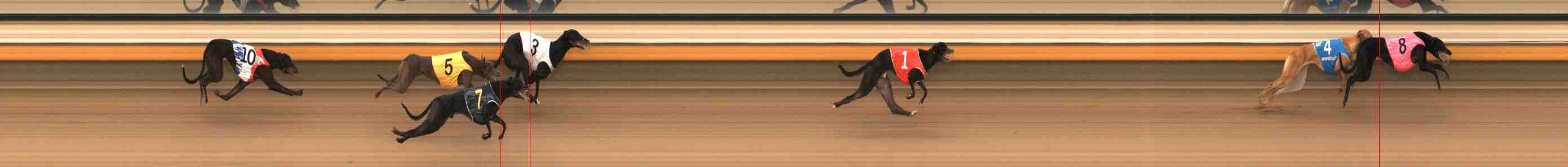 Photo finish for Warrnambool Race 2