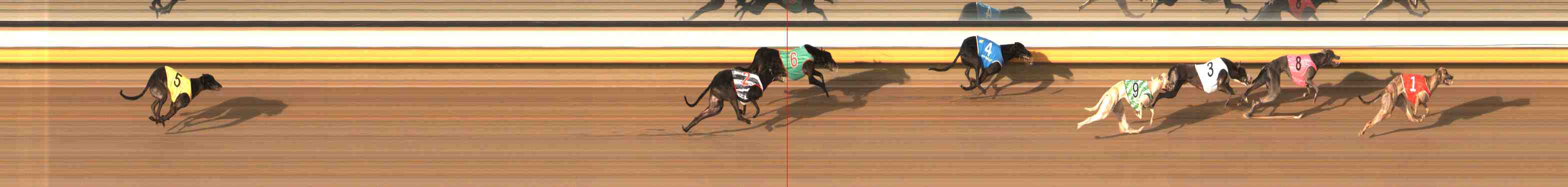 Photo finish for Warrnambool Race 5