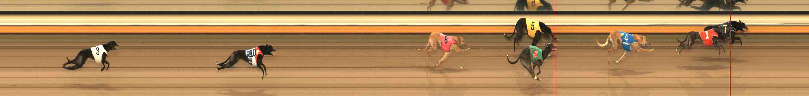 Photo finish for Warrnambool Race 8