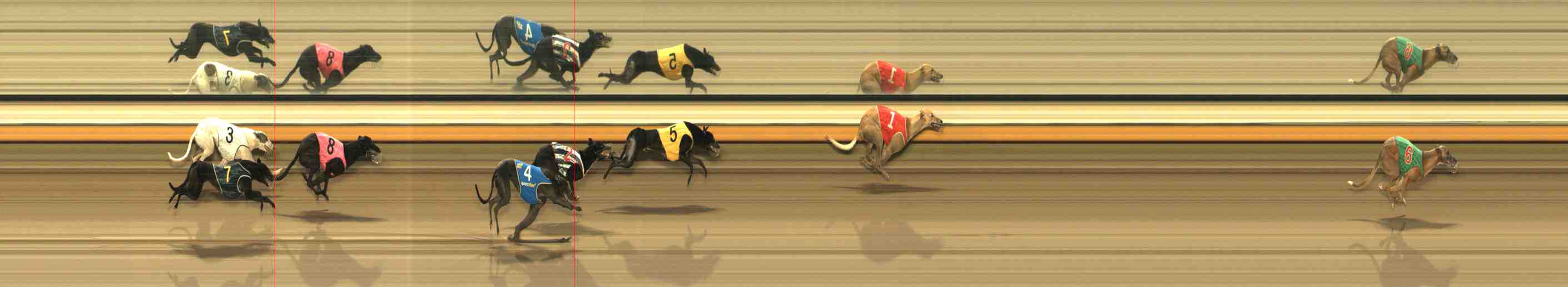 Photo finish for Warrnambool Race 10