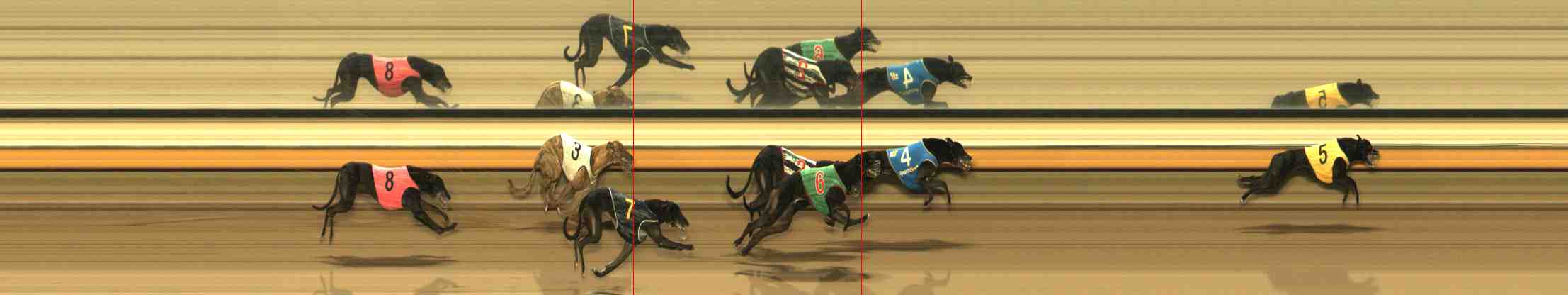Photo finish for Warrnambool Race 11