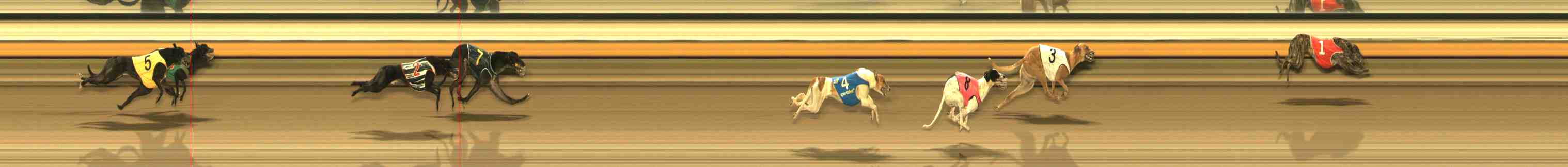 Photo finish for Warrnambool Race 12