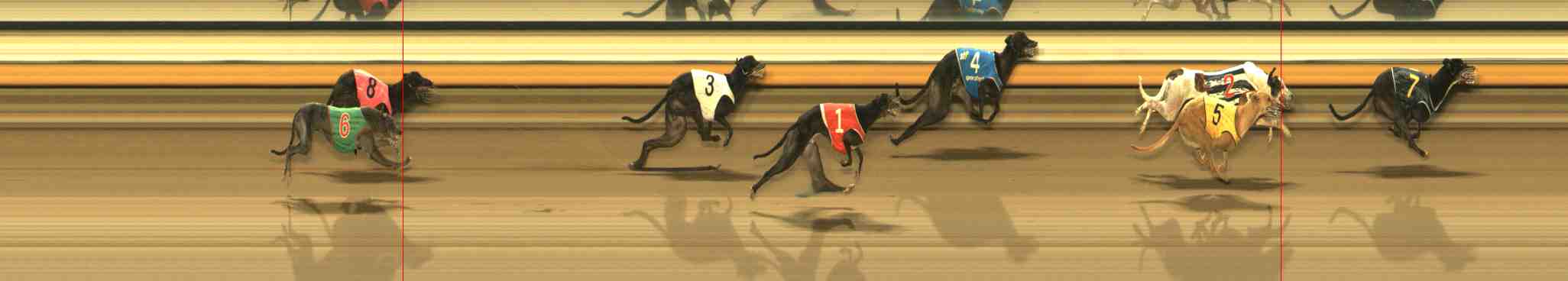 Photo finish for Warrnambool Race 13