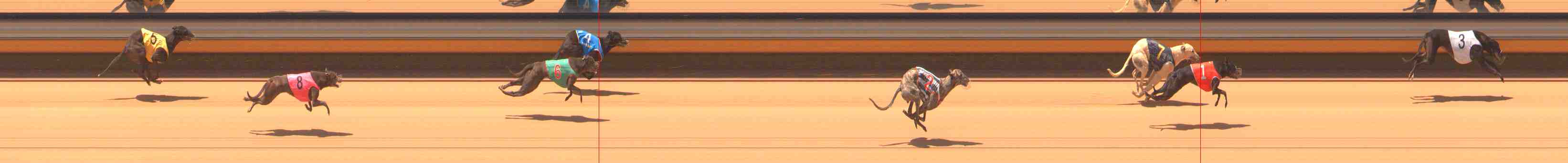 Photo finish for Warrnambool Race 1
