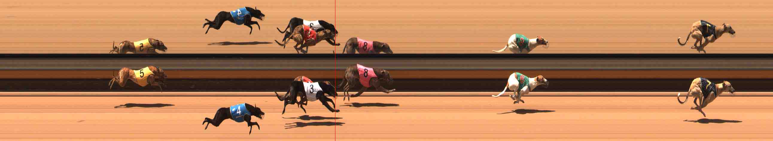 Photo finish for Warrnambool Race 2