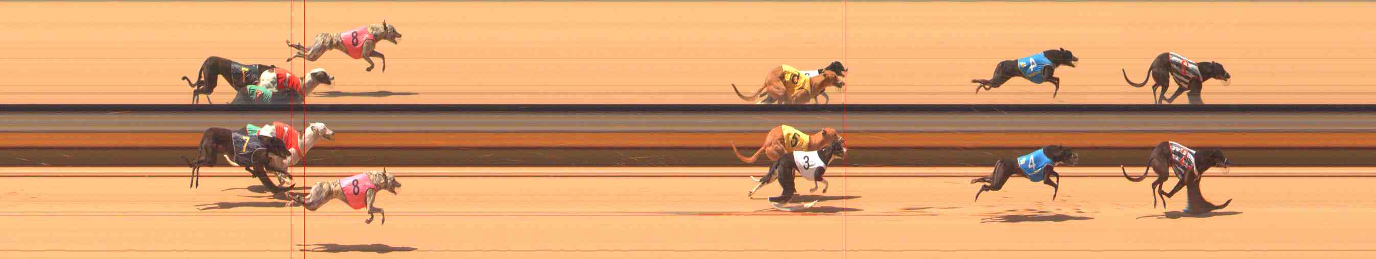 Photo finish for Warrnambool Race 3