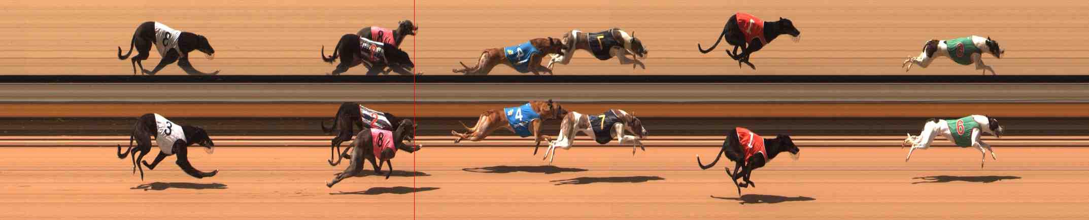 Photo finish for Warrnambool Race 4