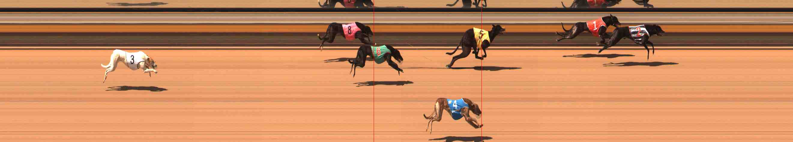 Photo finish for Warrnambool Race 5