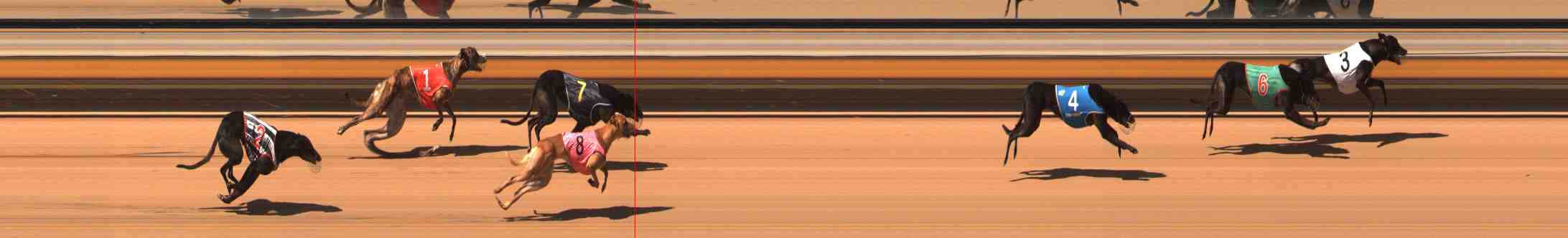 Photo finish for Warrnambool Race 6