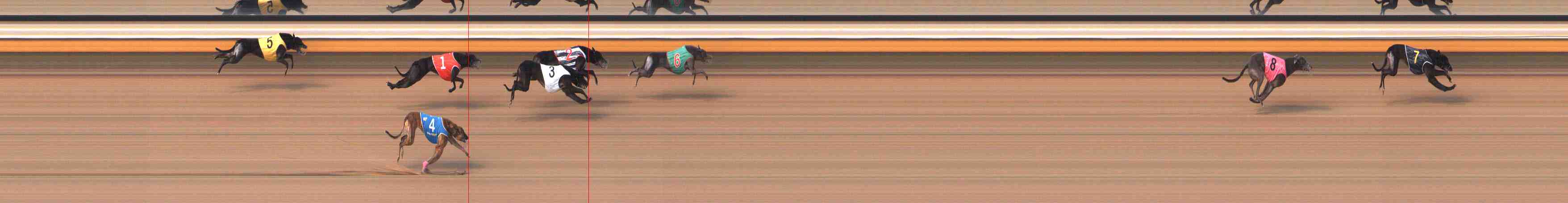 Photo finish for Warrnambool Race 7