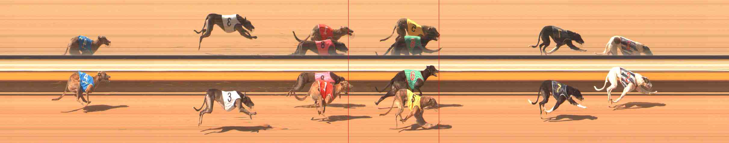 Photo finish for Warrnambool Race 8