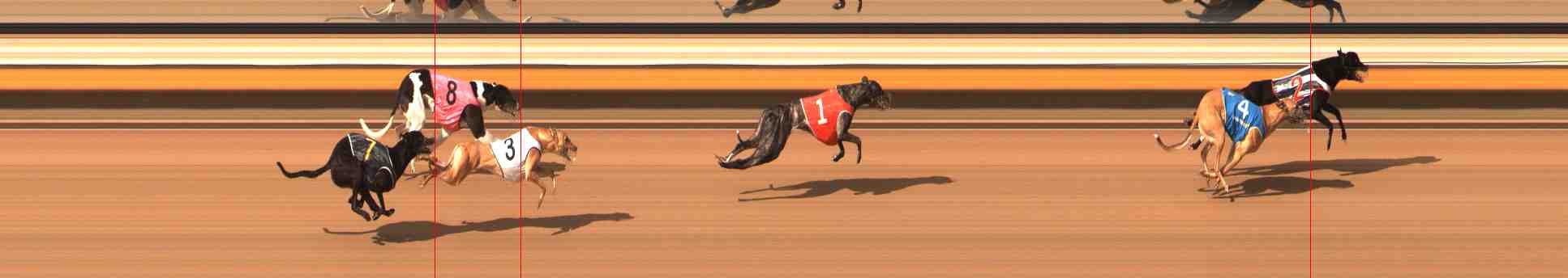Photo finish for Warrnambool Race 9