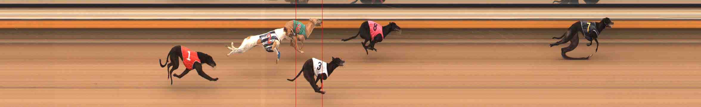 Photo finish for Warrnambool Race 10