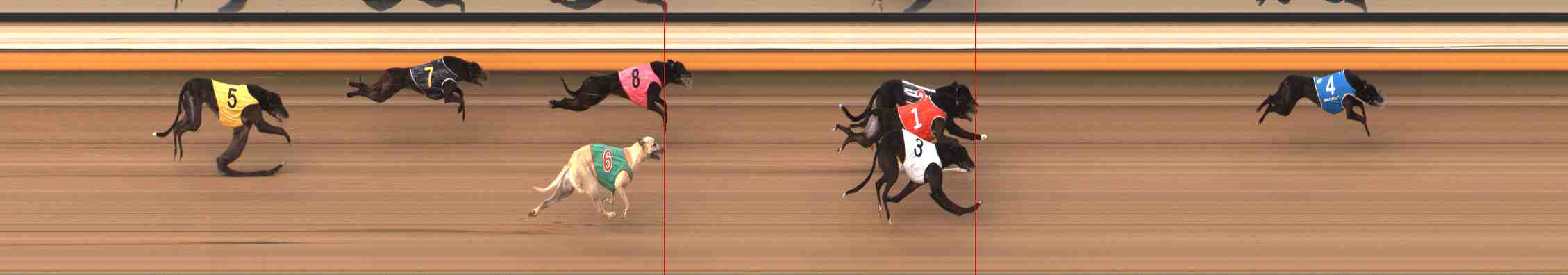 Photo finish for Warrnambool Race 11