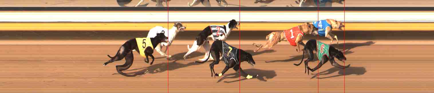 Photo finish for Warrnambool Race 12
