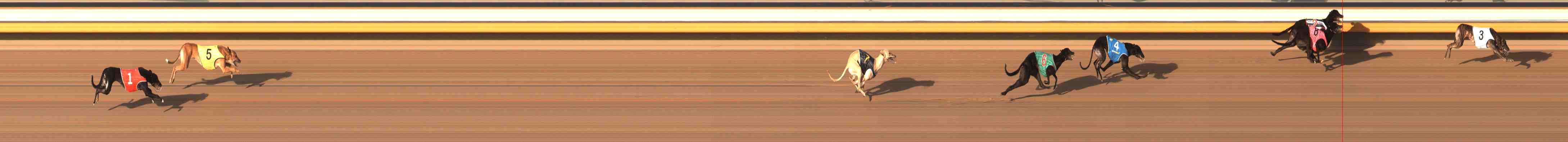 Photo finish for Warrnambool Race 13