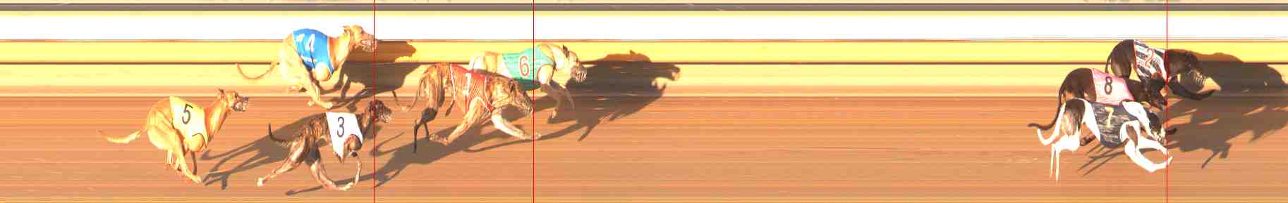 Photo finish for Warrnambool Race 2