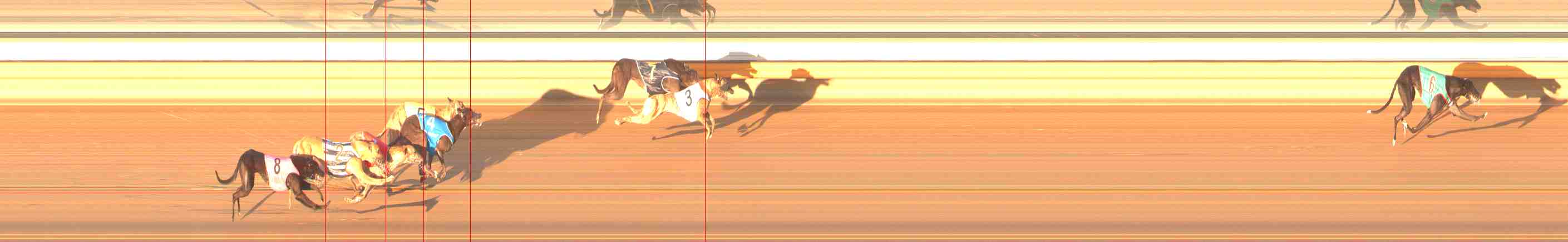 Photo finish for Warrnambool Race 3