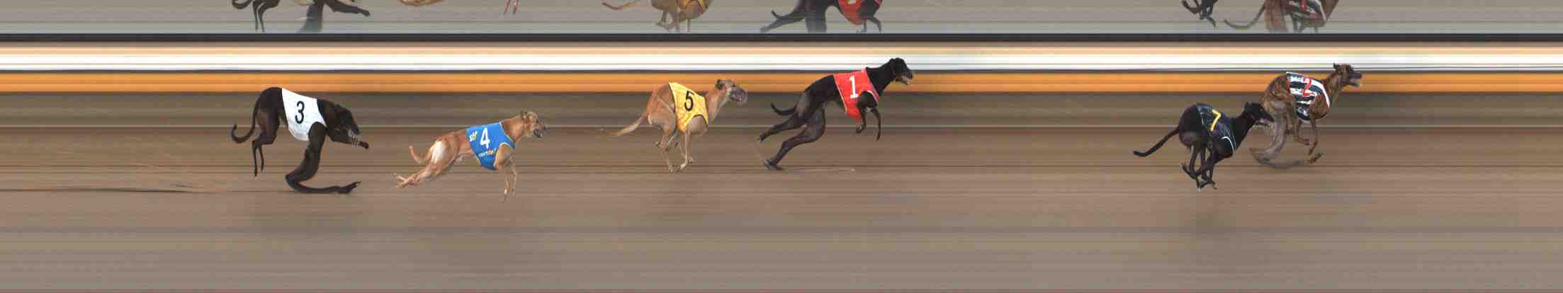Photo finish for Warrnambool Race 4