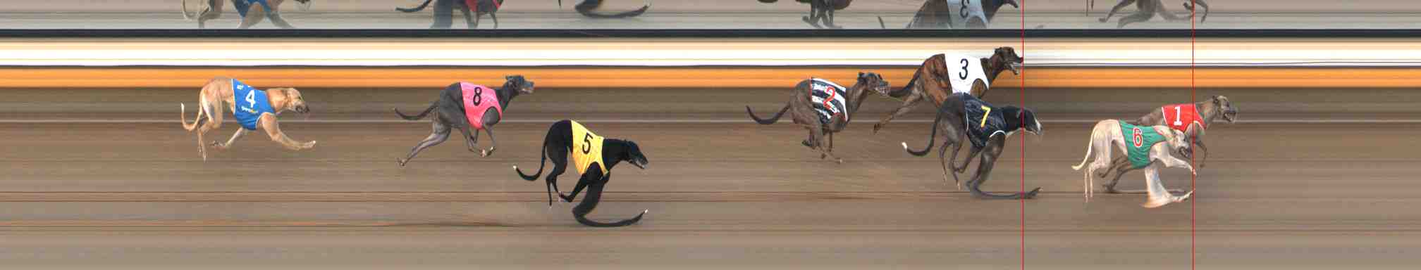 Photo finish for Warrnambool Race 5