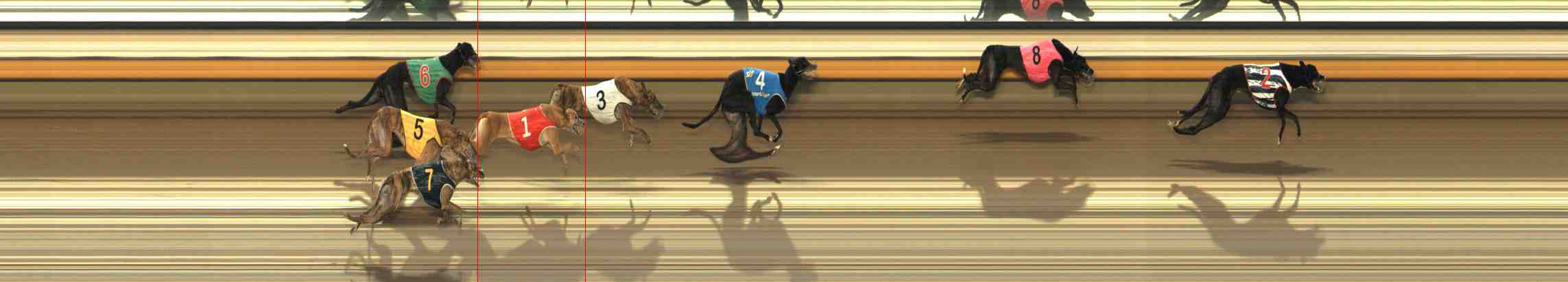 Photo finish for Warrnambool Race 6