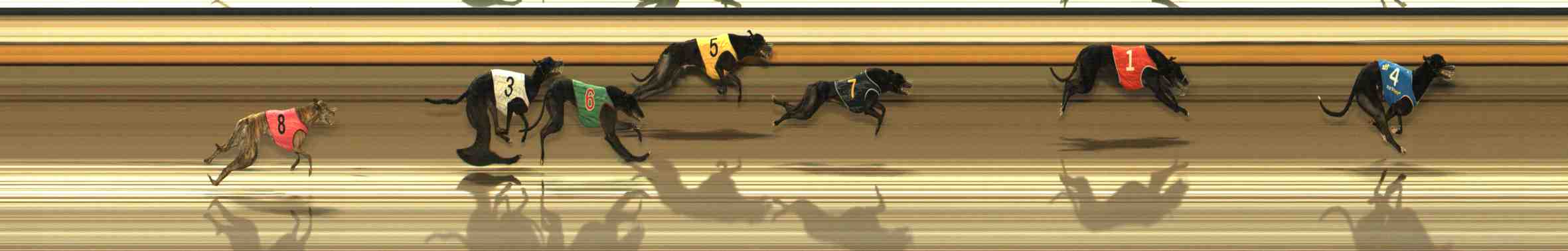 Photo finish for Warrnambool Race 7