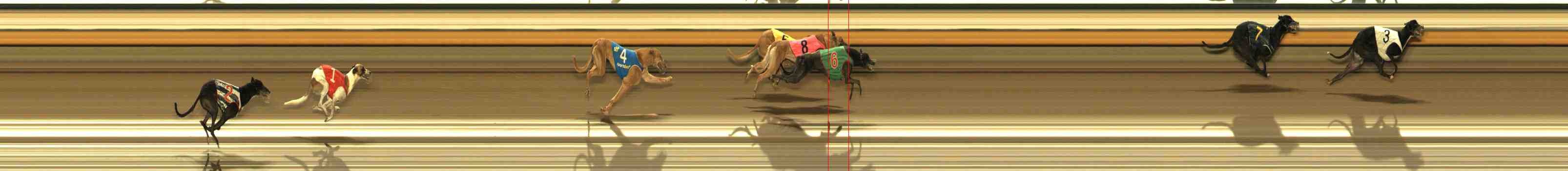 Photo finish for Warrnambool Race 9