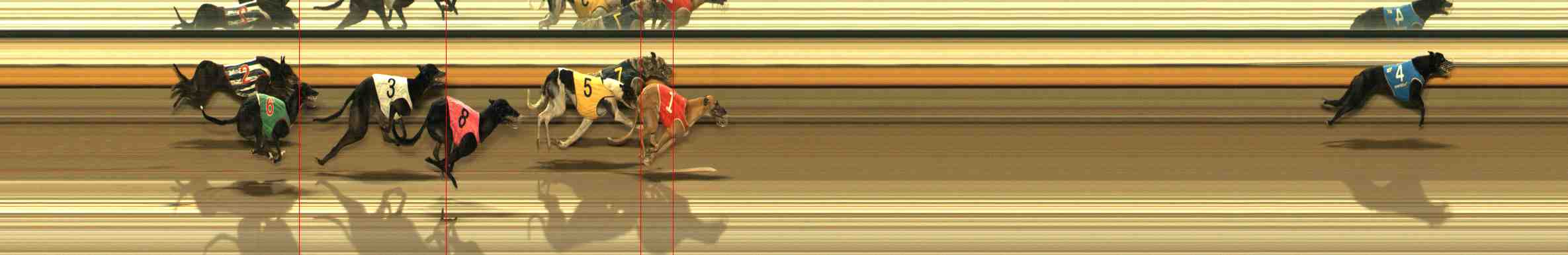 Photo finish for Warrnambool Race 10