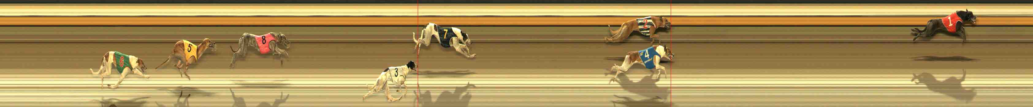 Photo finish for Warrnambool Race 11