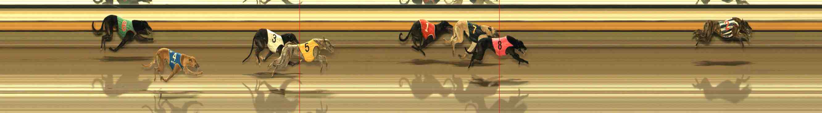 Photo finish for Warrnambool Race 12