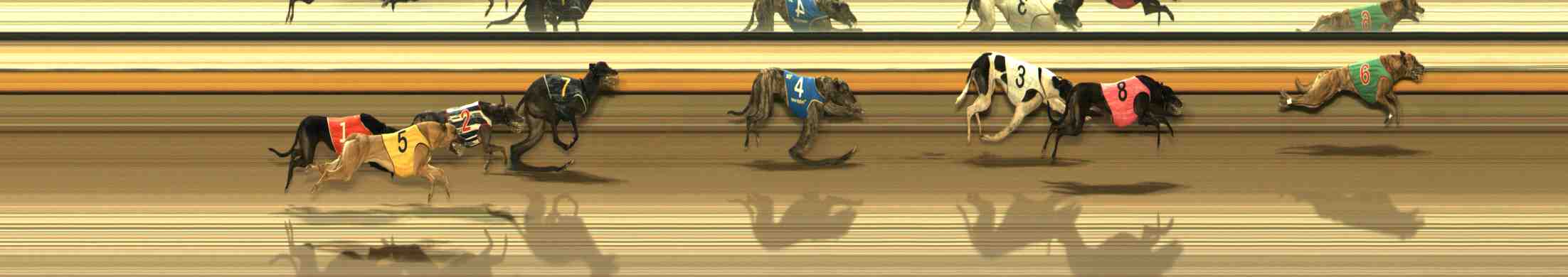 Photo finish for Warrnambool Race 13