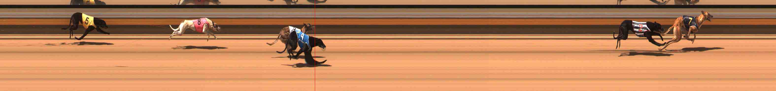 Race result finish photo