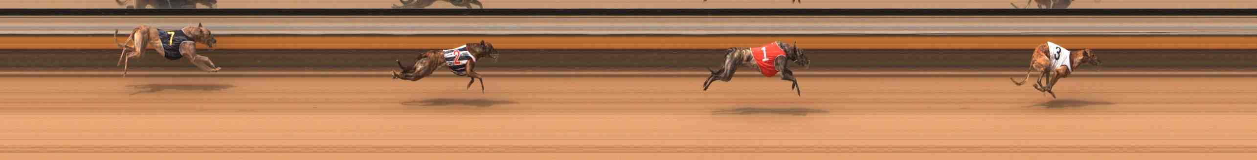 Race result finish photo