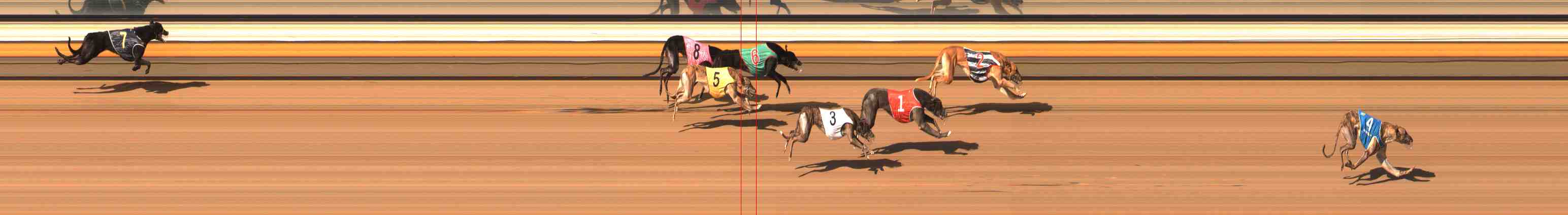 Race result finish photo