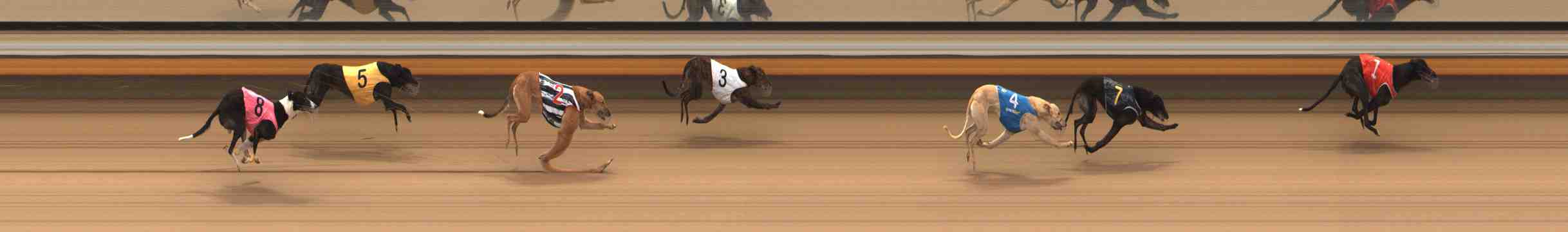 Race result finish photo