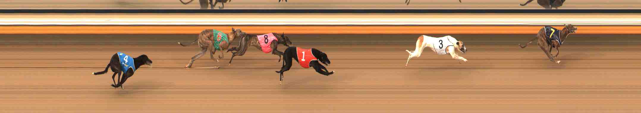 Photo finish for Warrnambool Race 2