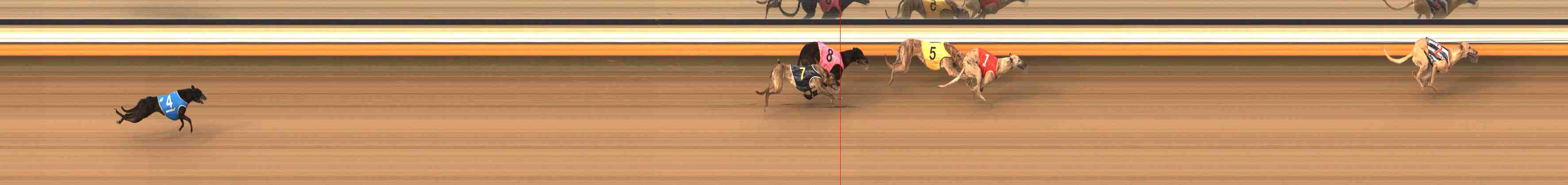 Photo finish for Warrnambool Race 3