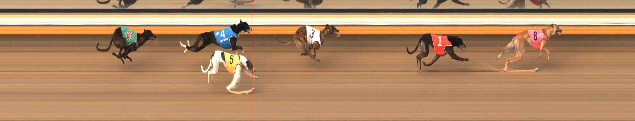 Photo finish for Warrnambool Race 5