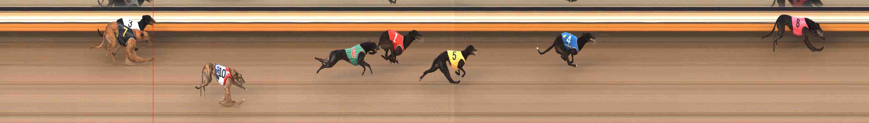 Photo finish for Warrnambool Race 6