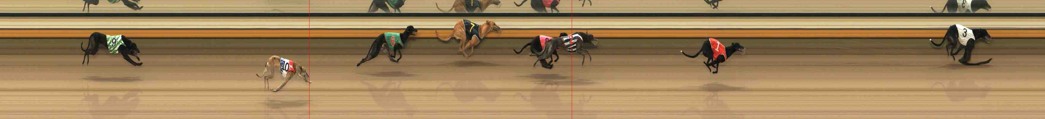 Photo finish for Warrnambool Race 7